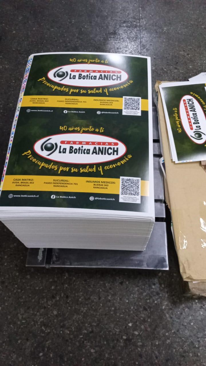 Afiches y flyers impresos para campañas